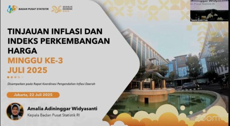 kepala-bps-cabai-rawit-dan-beras-j