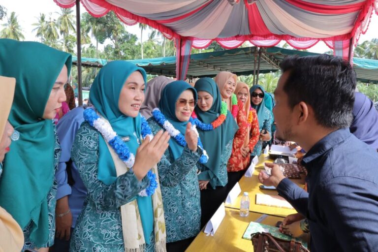 ketua-tp-pkk-riau-kunjungi-posyandu