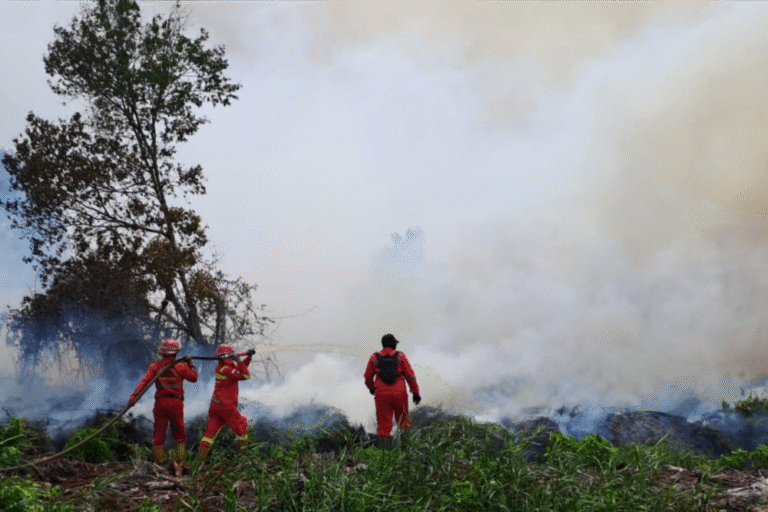 riau-bakal-naik-status-tanggap-daru