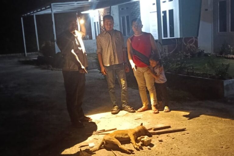 9-warga-pekanbaru-digigit-anjing-li