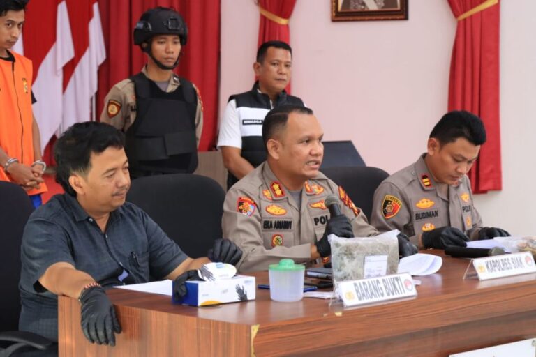 terungkap-22-kg-ganja-disita-dari