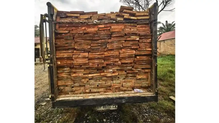 barang-bukti-truk-pengangkut-kayu-hasil-pembalakan-liar-riau