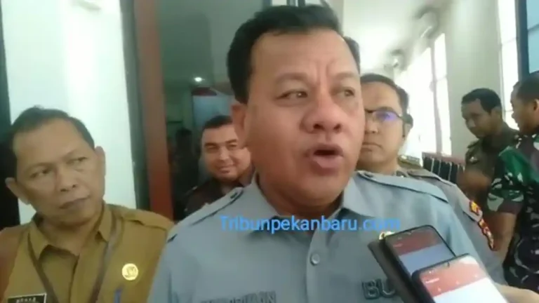 Bupati
