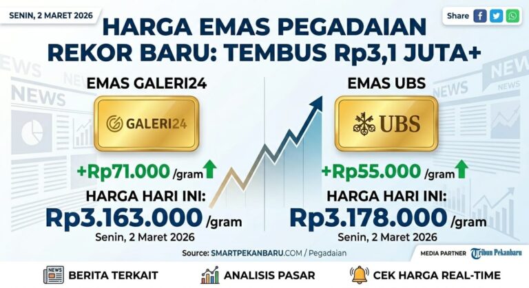 WhatsApp Image 2026-03-02 at 13.15.45