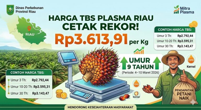 WhatsApp Image 2026-03-04 at 09.41.23