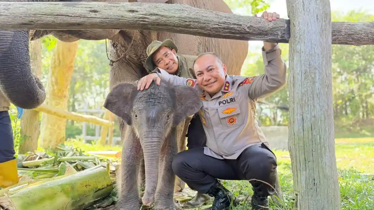 Kapolda-Riau-Irjen-Pol-Herry-Heryawan-bersama-Nona-Seroja-anak-gajah-TNTN