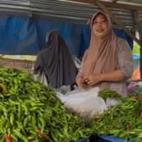 Marhamah-pedagang-cabai-rawit-di-Pasar-Belantik-Siak