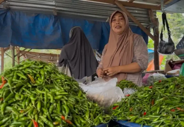 Marhamah-pedagang-cabai-rawit-di-Pasar-Belantik-Siak