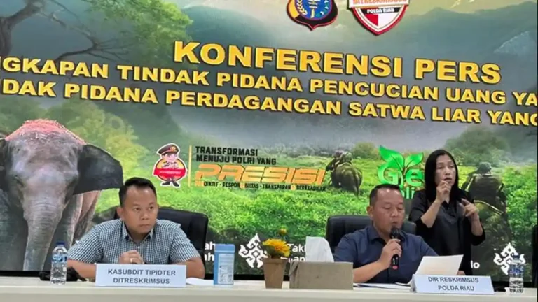 Polda-Riau-kasus-tindak-pidana-pencucian-uang-hasil-jual-beli-gading-gajah