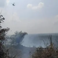 bakar