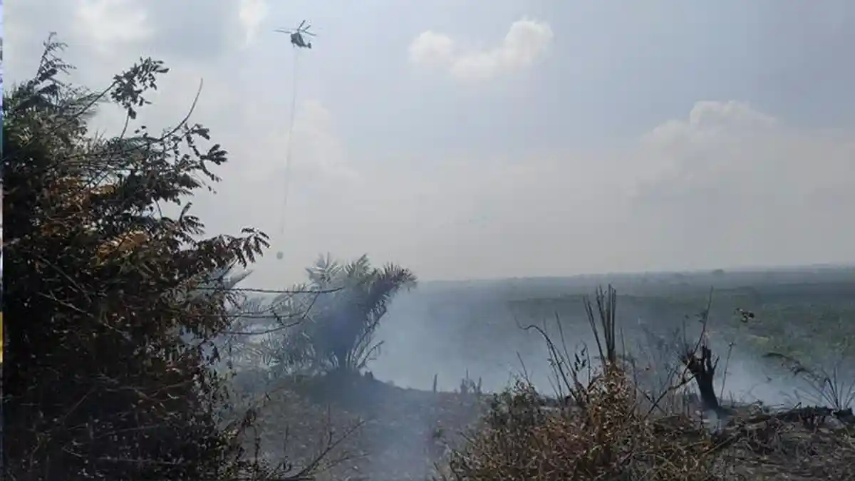bakar